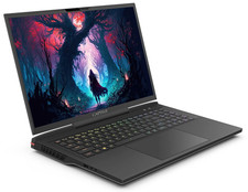 Captiva NB Gaming I87-237CH 17,3|i9-14900HX|R...