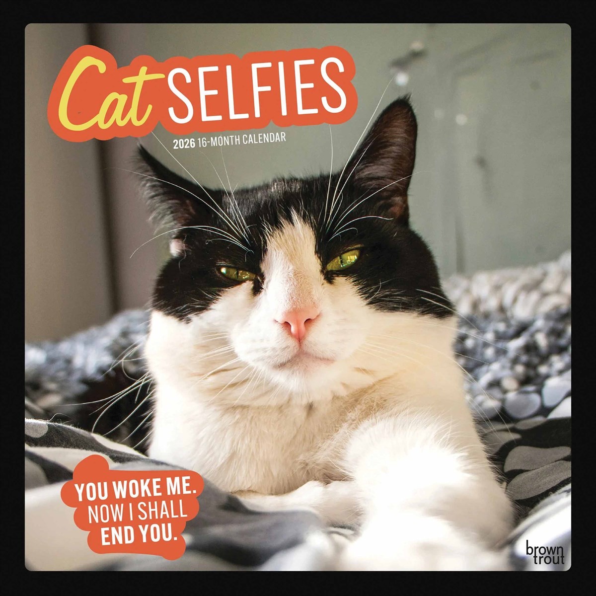 Cat Selfies Calendar 2026, Wall Calendars, Month To View, Humour, Gift