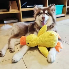 Stomping Duck Dog Toy Bite Resistant Plush Chew Toy for Large Dogs Interactive