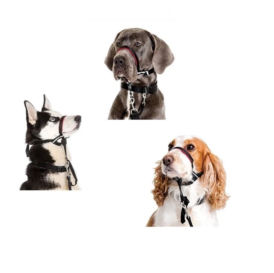 Halti Opti Fit Collar Cabeza para Perros - S - L - Deje de Tirar Ajuste Personalizado  Foto 2 de 4