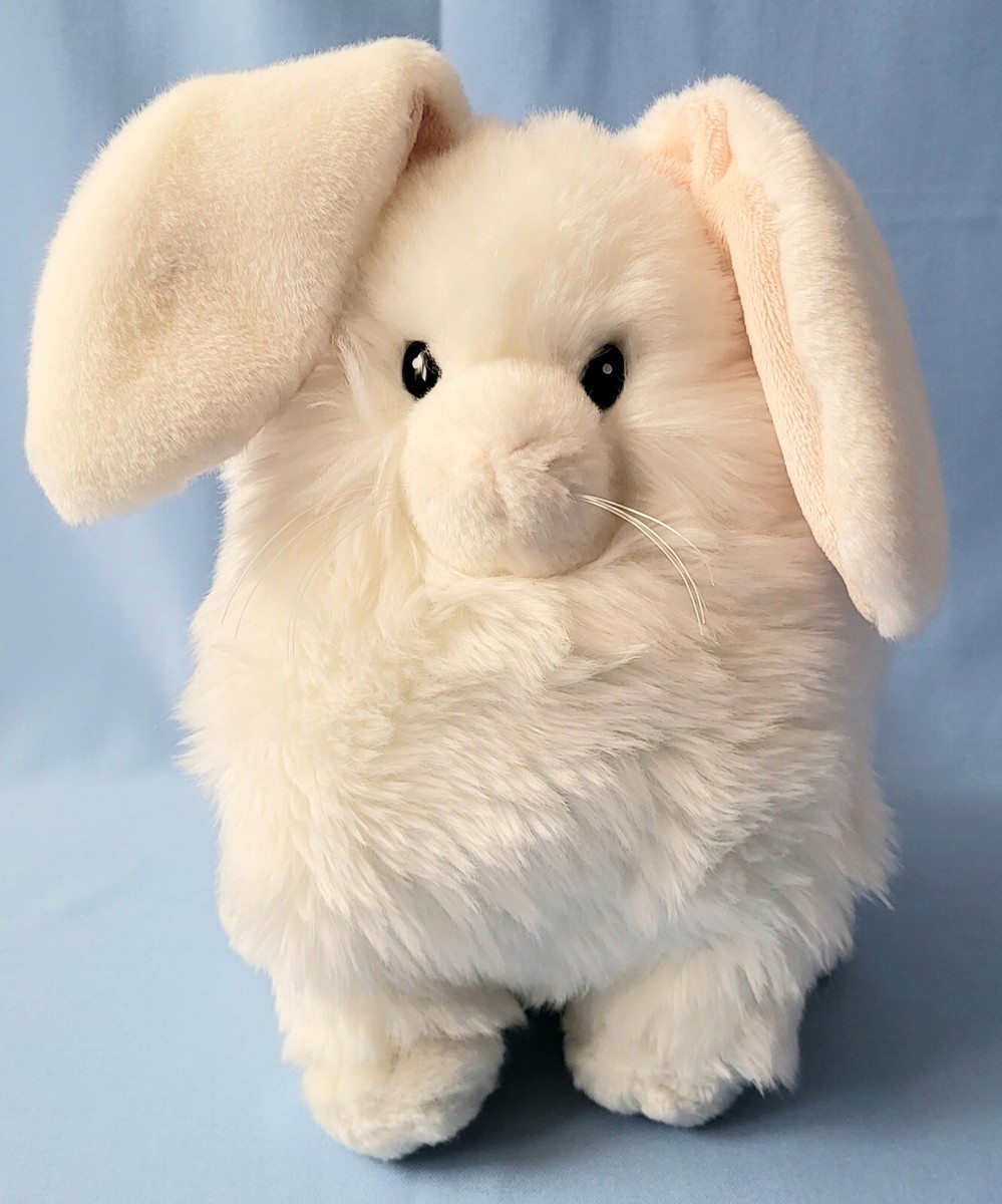 Chubby Bunny Rabbit