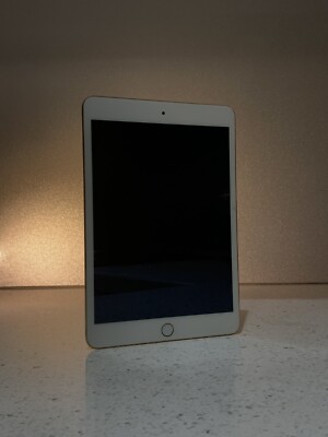 Apple A1599 iPad Mini 3rd Gen 64GB Wi-Fi only 7.9