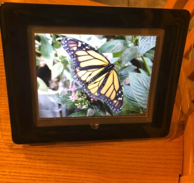 Coby DP-882 8 inch color LCD digital photo frame Photos Display Frame ...