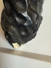 Vintage Chalkware Black Scottie Dog With Ears Down — photo 5