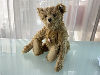 Steiff Animal Teddy Bear 404108 Bear 35 Pg 1904 Replica 50cm