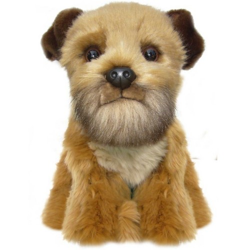 stuffed border terrier