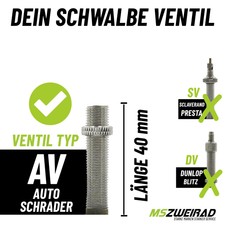 BWSHLF 2er Set 29 Zoll MTB-Schläuche – Butylkautschuk, 1.75-2.3 Zoll, Presta-Ventil 48 Mm | Für Mountainbike-Reifen