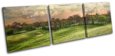 Landscape Countryside Field Canvas Art Picture Print Decorative Photo
