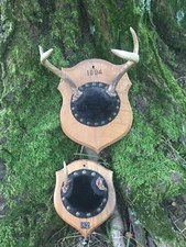 Broke Spike & 4 point Whitetail DEER ANTLERS, Hunting =(Odocoileus virginianus)