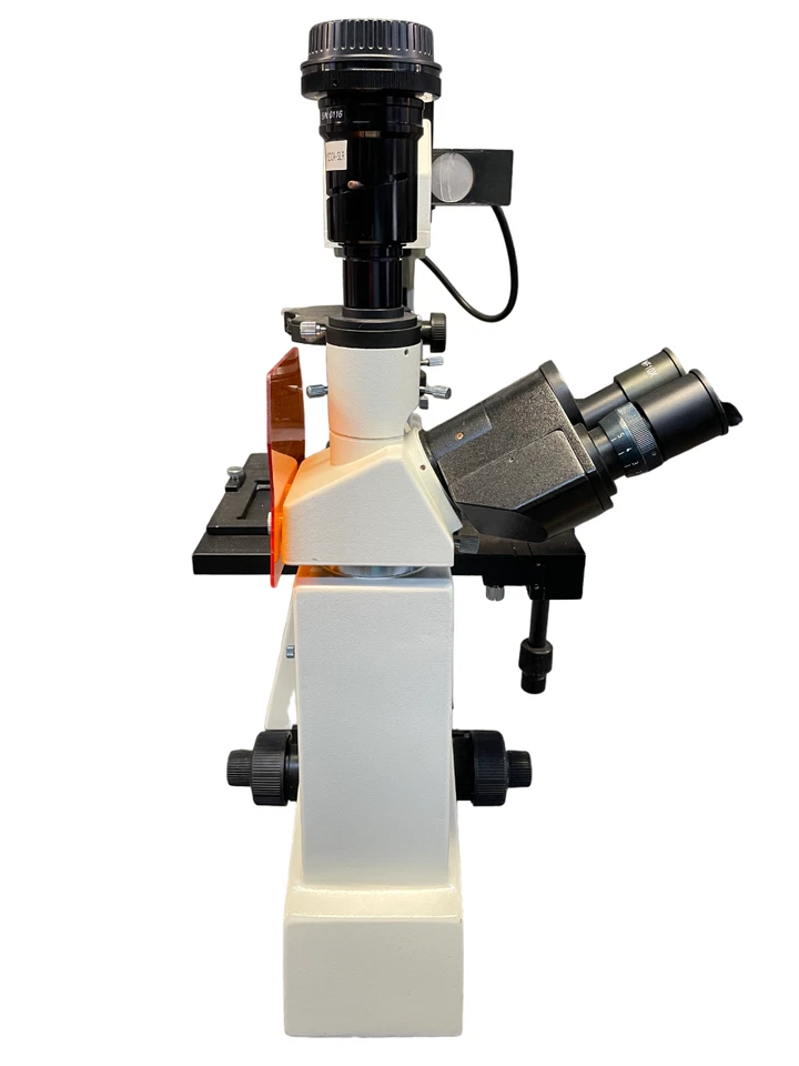 Microscopio Accu-Scope 3031 con oculares - sin probar - el estado es para piezas Foto 4 de 4