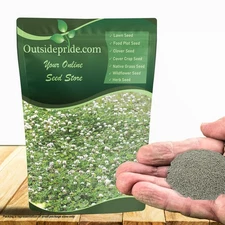 40 LBS - Inoculated White Dutch Clover Seeds For Planting, Lawns,