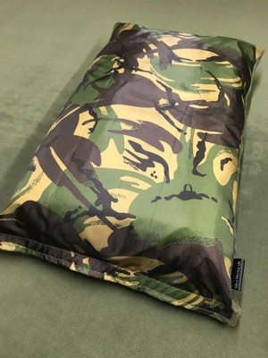 dpm pillow price