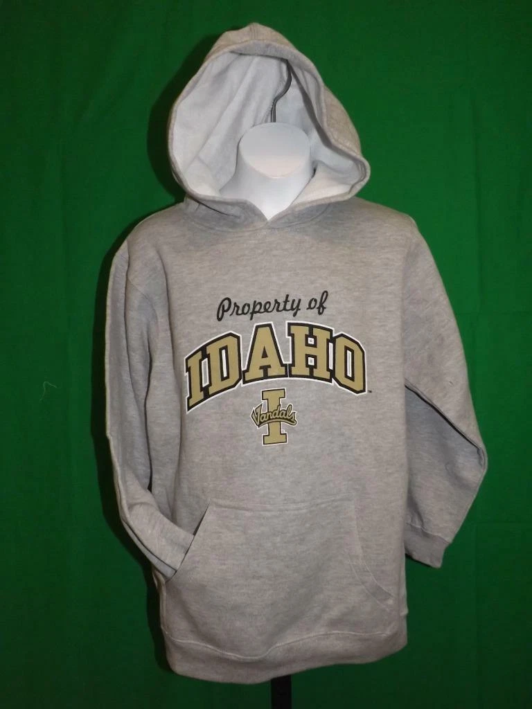 VETEMENTS New Idaho Vandals Youth Sizes S M L XL Gray Hoodie