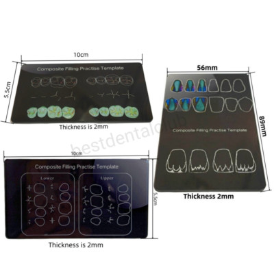 Dental Composite Resin Filling Student Practise Template Morphology Board