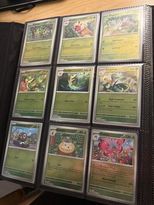 Pokemon Perfect Order Master Set 088/088 Shiny + Holo + Artworks (nicht alle) Mint