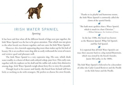 Irish Water Spaniel - CUSTOM MATTED Dog Art Print - Breed Description History