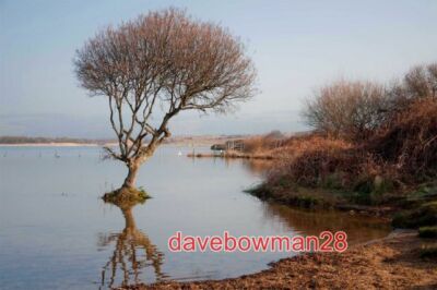 FOTO KENFIG NATIONALES NATURSCHUTZGEBIET KENFIG POOL IST GLAMORGANS GRÖSSTE NATUR