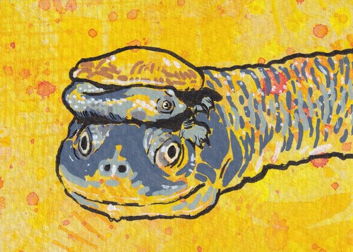 ACEO Original Watercolor Acrylic Art Card JKScribblesworth - Snake Necked Turtle