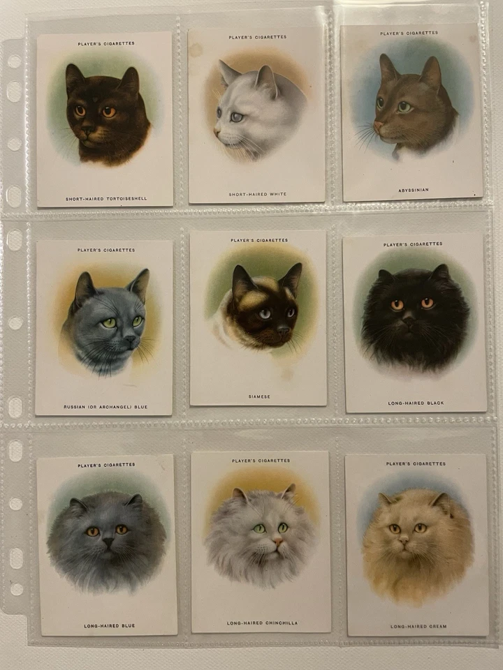 John Player & Sons Cigarette Cards - Cats - Complete Set Of 24. - Image 2 of 4