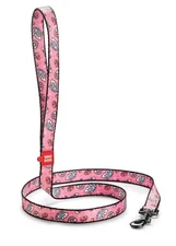 WAUDOG Nylon 4 Ft Dog Leash for Small 4 Ft x 3/5" Wide