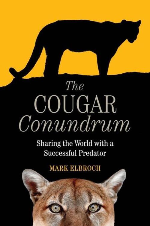 Thumbnail - The Cougar Conundrum | Sharing The World With A Succesful Predator |
