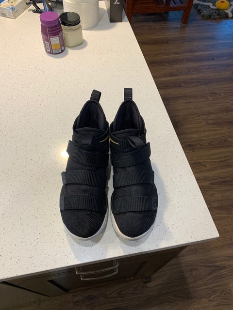 lebron soldier 11 tb