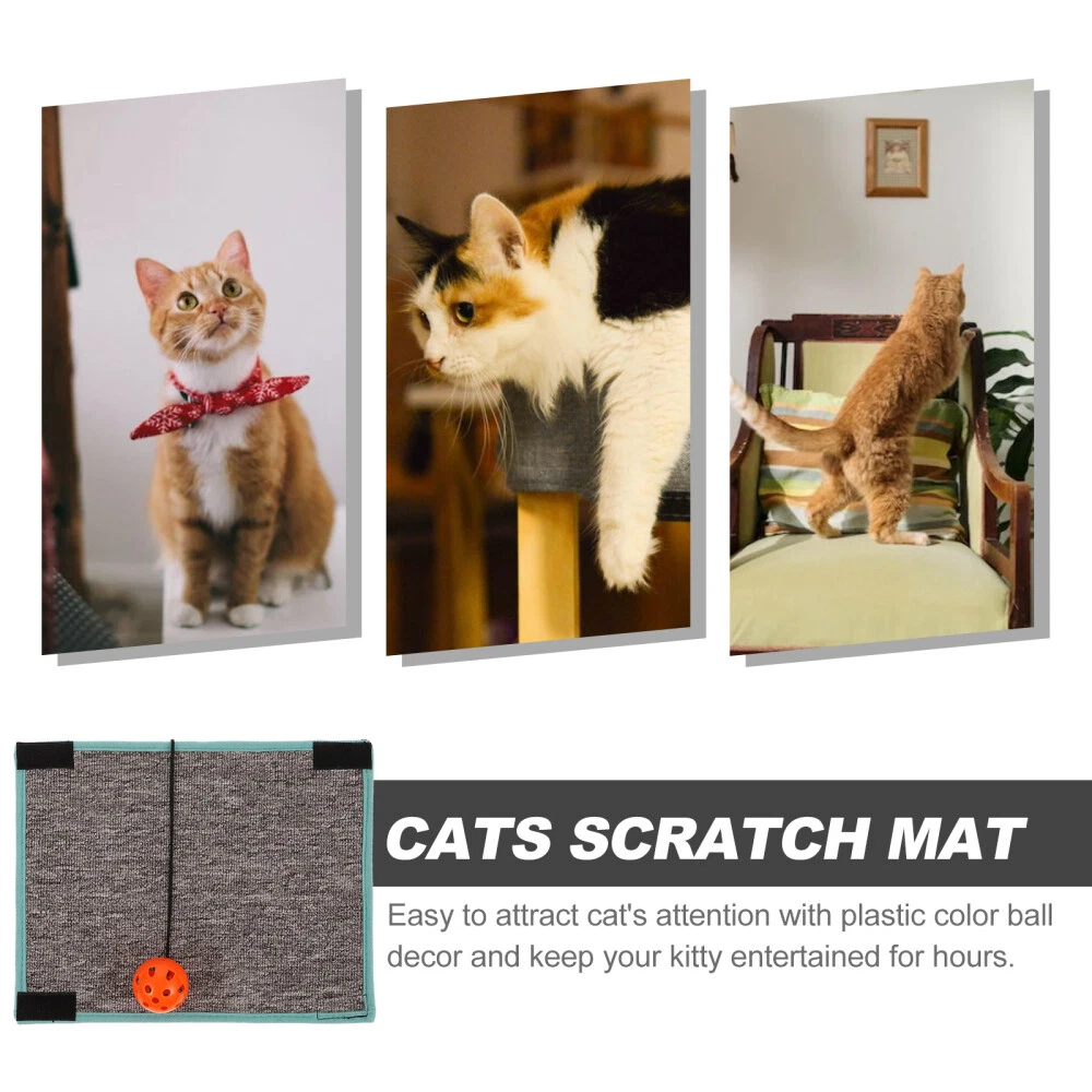Sisal Cat Scratching Cat Scratch Pad Floor Carpet The Cat Earth Tones