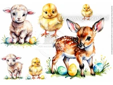 Baby Animals | A4 8.3" x 11.7" Rice Paper for Decoupage | Decoupage Central