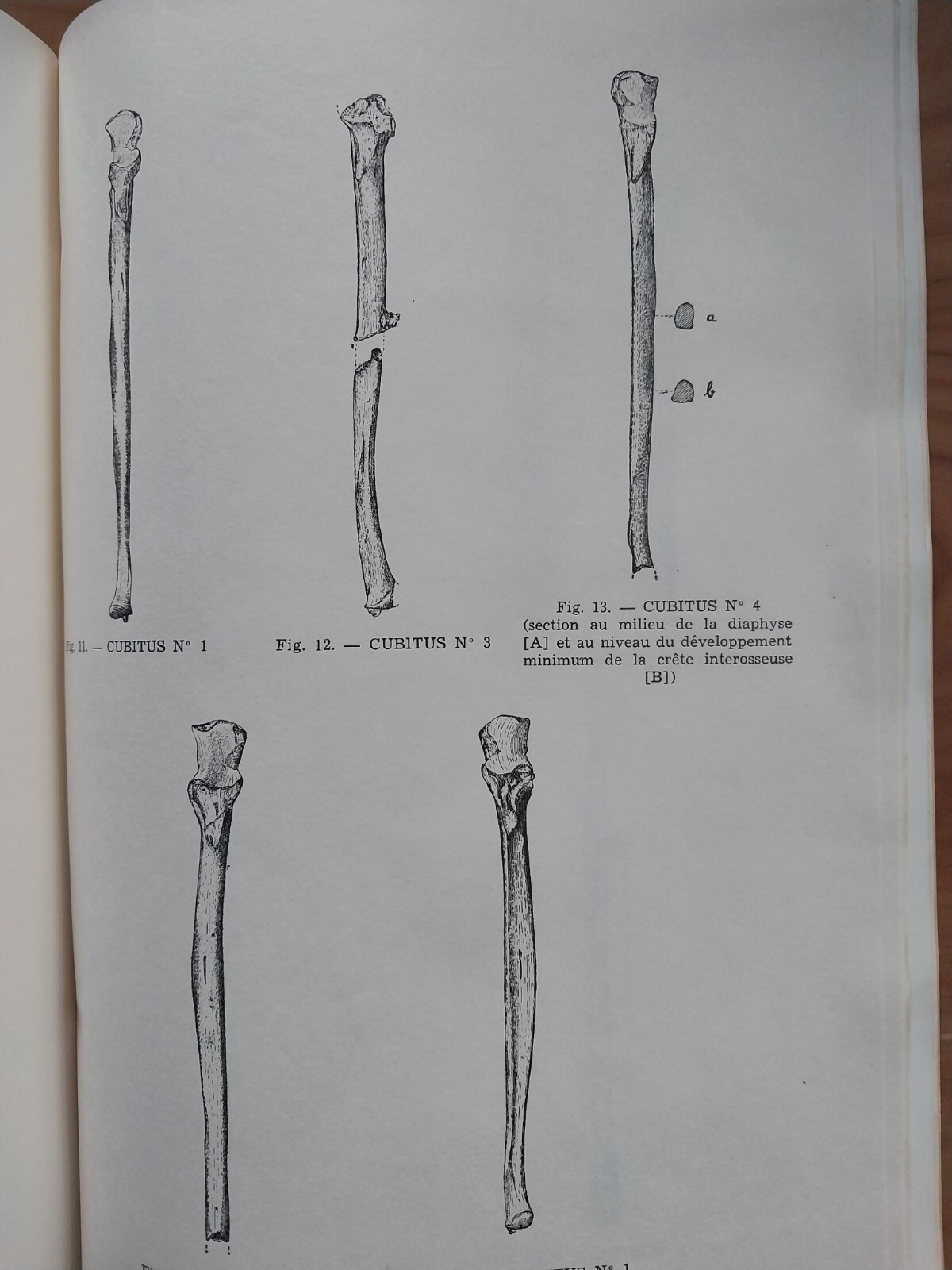 Foto 17 di 22