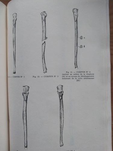 BULLETIN SOCIÉTÉ ETUDES INDOCHINOISES 1965 Ossements de DA BUT Vietnam Indochine - Foto 17 di 22