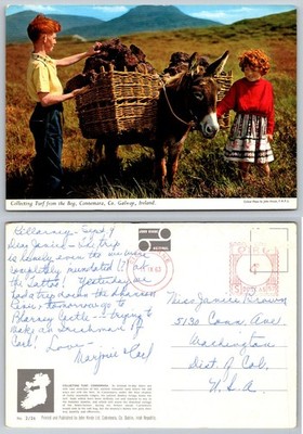 John Hinde Postcard Connemara Ireland Turf Bog Donkey Children 1963 Posted