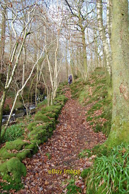 Foto 6x4 Fußweg in Bell Intake Finsthwaite geht hinauf zum Hochdamm von t c2014