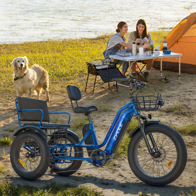 Zycle Z700 2-Seater Electric Tricycle 750W 48V 20AH Dual Battery