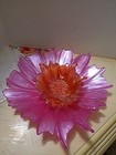 Bild 5 von 11