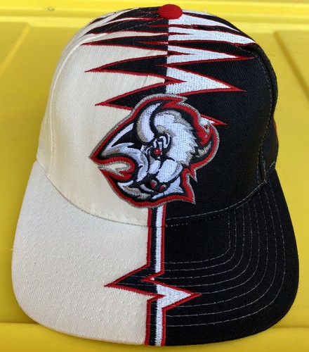 Vintage 90s Buffalo Sabres Starter WS 