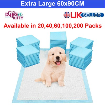 extra large training pads