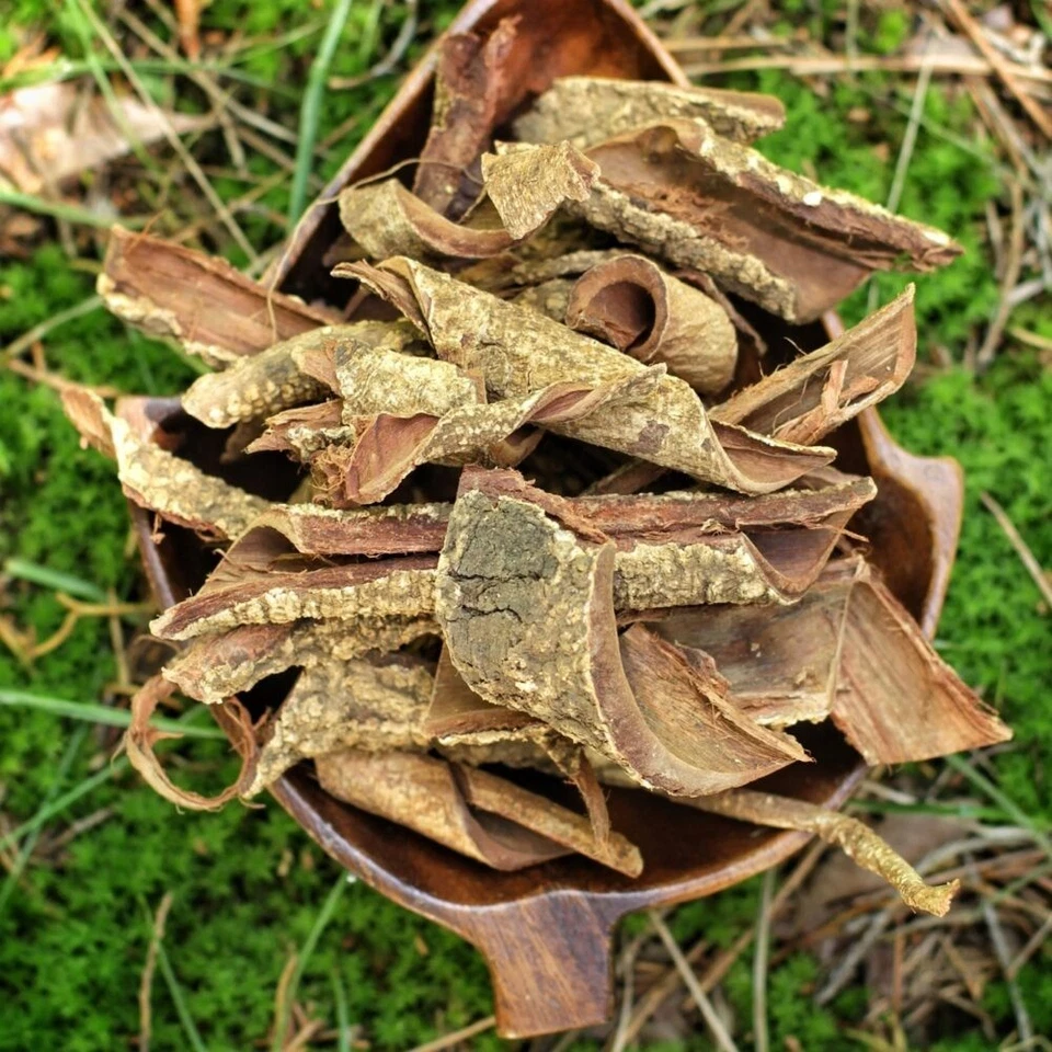 1 LBS Ethically Sourced Acacia Confusa Bark!! T-Shirt Dye All Natural Organic!!! - Image 2 of 4