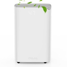 Deumidificatore Elettrico App 20L/giorno Deumidificatore Ambiente Deumidificatore Telecomando