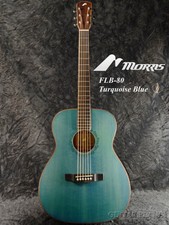 Morris FLB-80 Acoustic guitar TQB  Turquoise ...