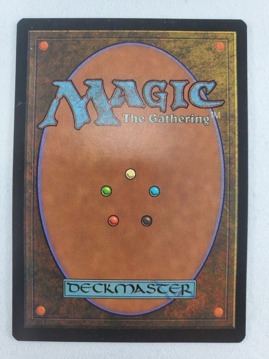 MTG APAC Land Set - 5 Varied Lands, 2 of Each (10 Cards), F MTG APAC Land Set - 5 Varied Lands, 2 of Each (10 Cards), F