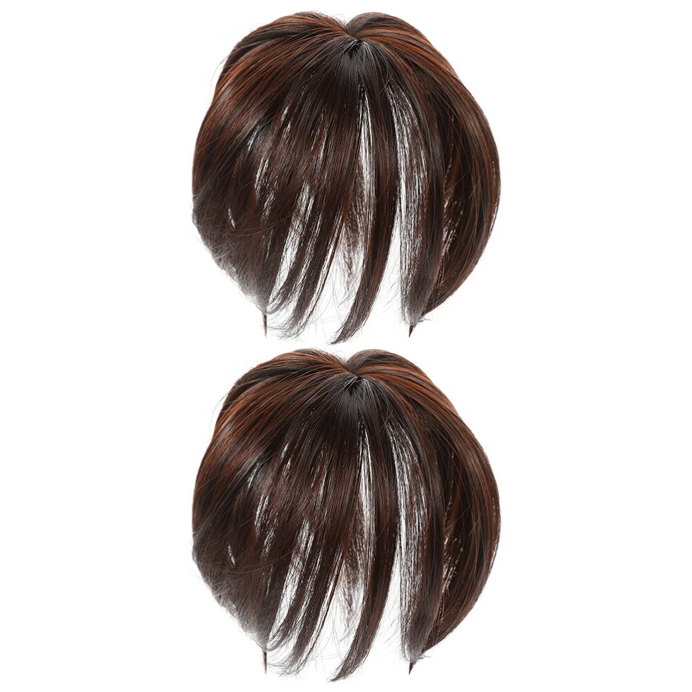 2 Pcs Straight Fine Hairpiece Wiglet Women Hairpiece for Women