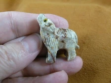 (Y-WOL-16) gray red WOLF coyote wild dog carving SOAPSTONE stone PERU FIGURINE