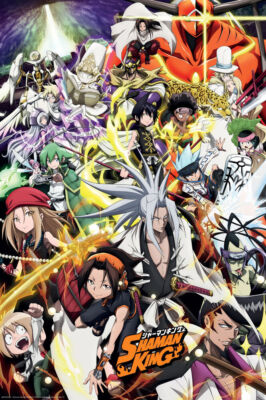 SHAMAN KING サイン入りポスター SHAMAN KING POSTER - 24x36 - 81423 | eBay