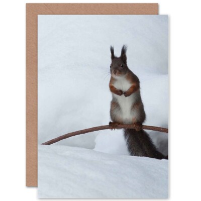 Animal Nature Squirrel Winter Snow Furry Cute Blank Greeting Card With Envelope