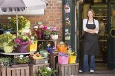 Business Plan: FLOWER SHOP Florist Store START UP New 