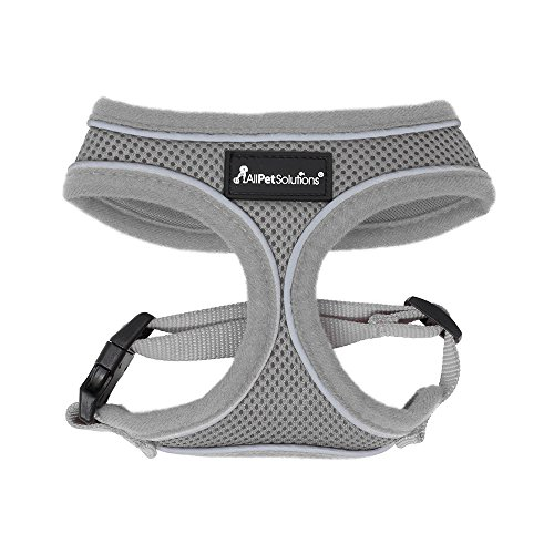 grey dog harness