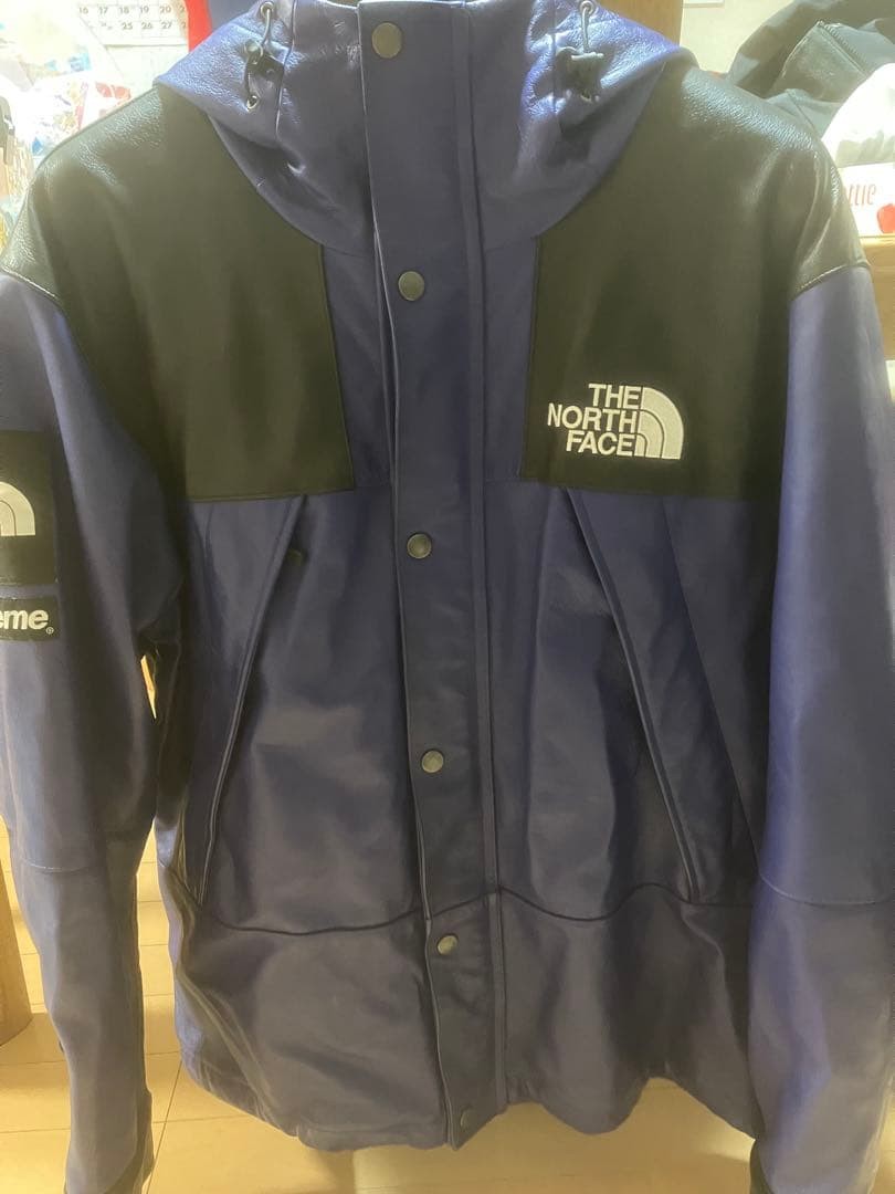 The North Face Supreme Leather Mountain Parka