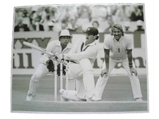 Cricket Press Photo- Allan Border In 1985 1st Cornhill Test Match