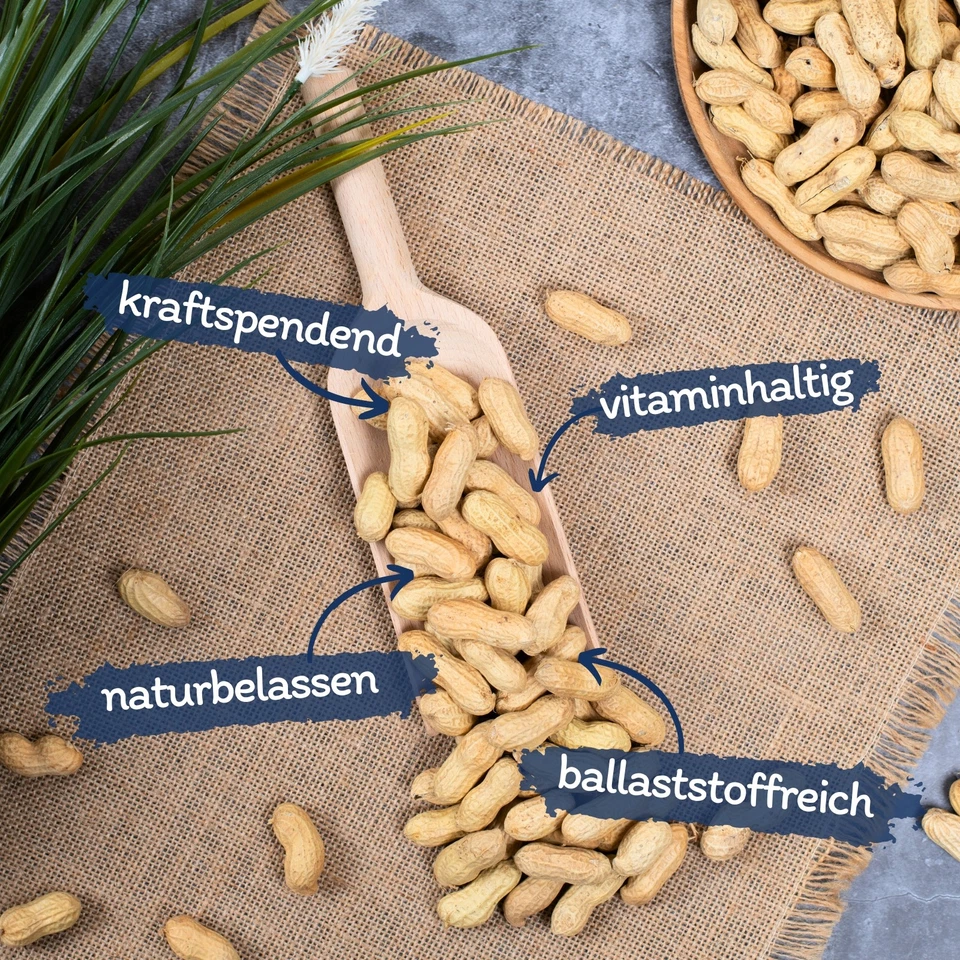 10 kg Erdnusskerne in Schoten Erdnüsse mit Schale Vögel Wildvögel Lyra Pet® - Bild 2 von 4