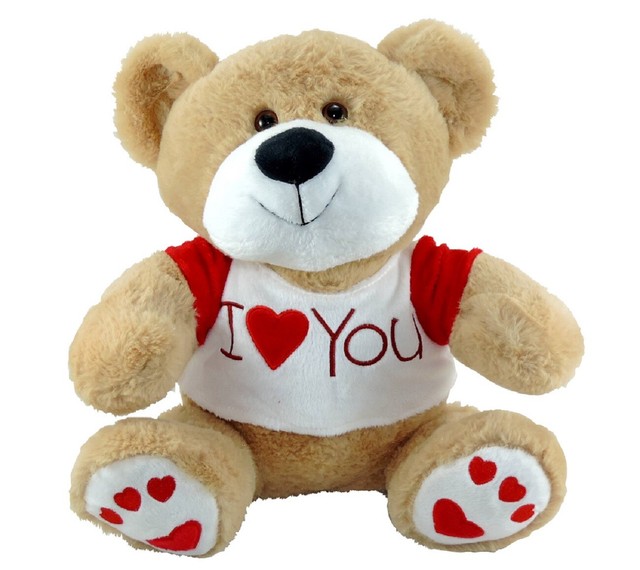 peluche san valentino per lui